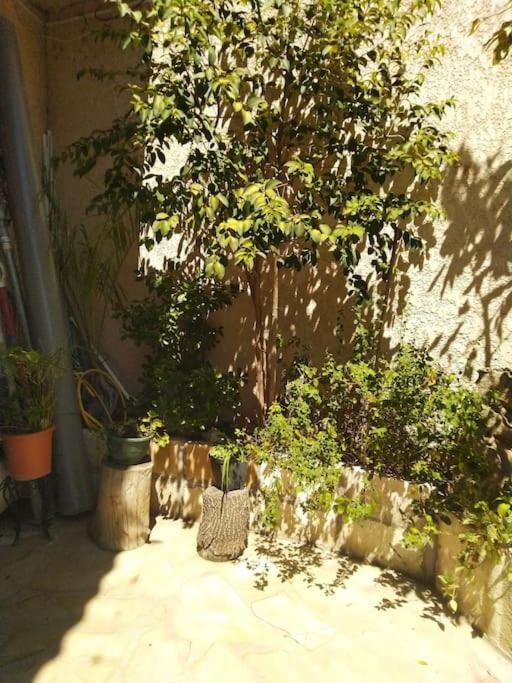 Studio Ideal Pour Deux Voyageurs Sur Μασσαλία Εξωτερικό φωτογραφία
