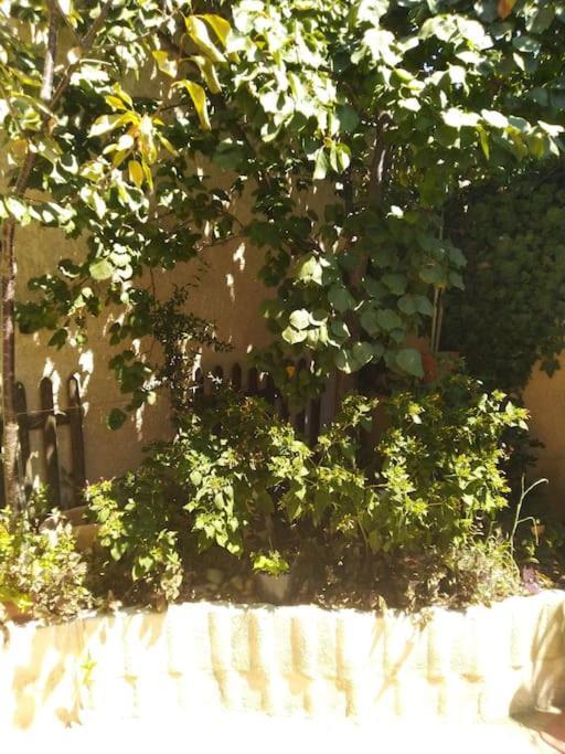Studio Ideal Pour Deux Voyageurs Sur Μασσαλία Εξωτερικό φωτογραφία